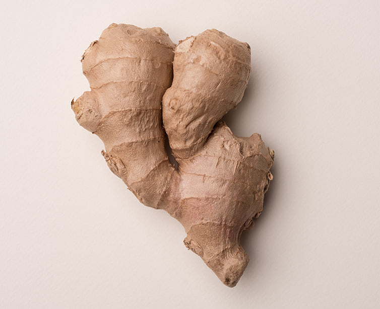 Brown Colored Root form of Acetyl Zingerone | A powerful antioxidant and anti-inflammatory ingredient derived from ginger used in Doctor Rogers skincare in non-GMO, vegan, kosher, biodegradable and Proposition 65 compliant to stimulate collagen retention and production and control redness. 